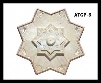 ATGP-6
