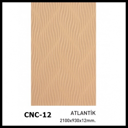 CNC-12